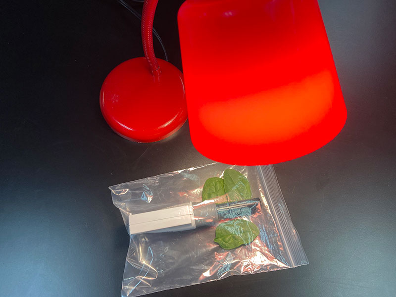 一位生物教师用二氧化碳传感器做光合作用实验